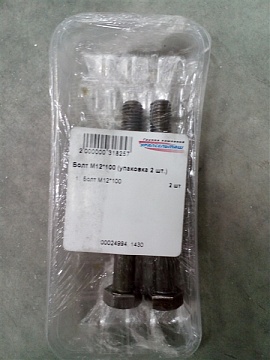 Болт М12*100 (упаковка 2 шт.)