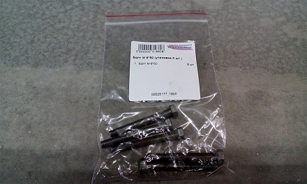 Болт М6*50 (упаковка 5 шт.)