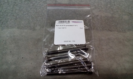 Болт М6*70 (упаковка 5 шт.)