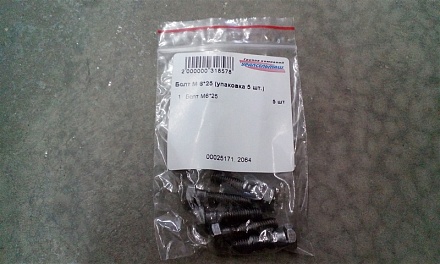 Болт М6*25 (упаковка 5 шт.)