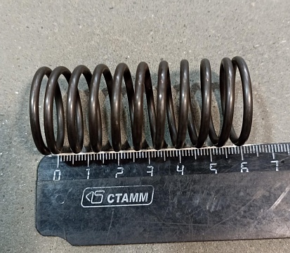 Пружина фрикциона 95-13-8 (А25.37.251)