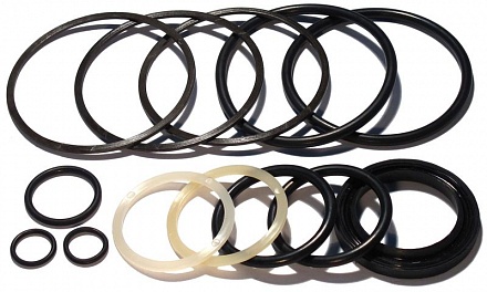 Рем. к-т ГЦ подъема плиты (н/об)  (ЦГ-100.50.250)  ТДТ-55 (448)