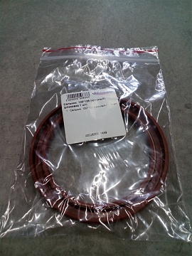 Сальник  100*125*12(FPM красный)