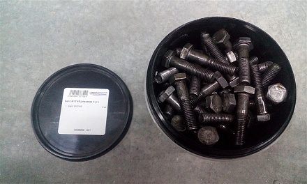 Болт М10*45 (упаковка 3 кг.)