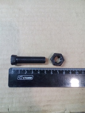 Болт лемешный М12х40 конич. голов. с двойным пазом(12,9) 523732V (Австрия)